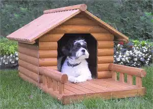 Quale cuccia è più adatta al tuo cane?