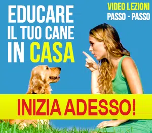 Video Corso Addestramento Cani