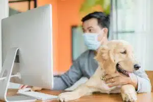 disinfettante per cani